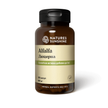Люцерна (Alfalfa)