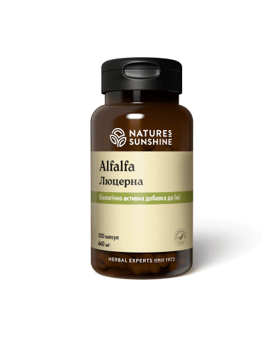 Люцерна (Alfalfa)