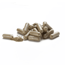 Люцерна (Alfalfa)