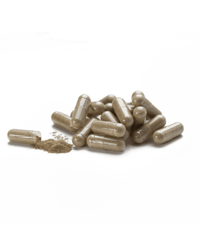 Люцерна (Alfalfa)