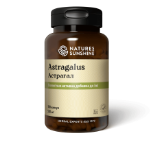 Астрагал (Astragalus)