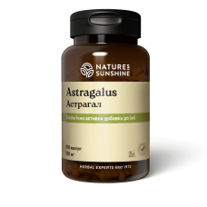Астрагал (Astragalus)