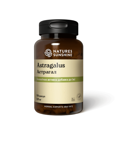 Астрагал (Astragalus)