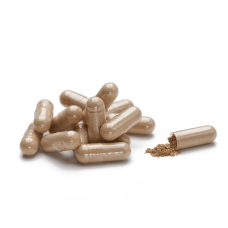 Астрагал (Astragalus)