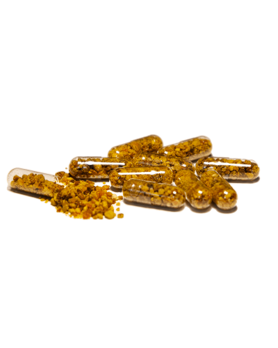 Бджолиний Пилок (Bee Pollen)