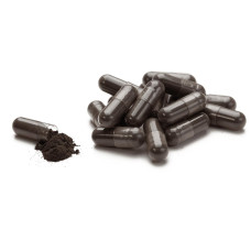 Горіх Волоський (Black Walnut)