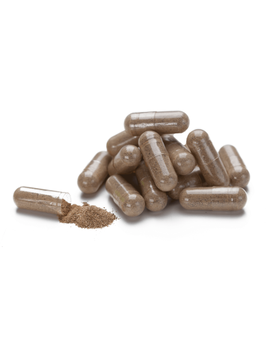 Босвелія Плюс (Boswellia Plus)