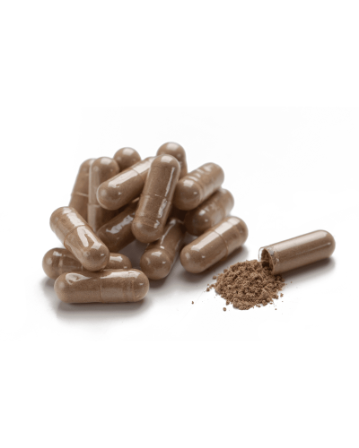 Буплерум Плюс (Bupleurum Plus)