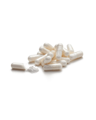 Хондроїтин (Chondroitin)