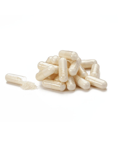 Молозиво | Колострум (Colostrum)
