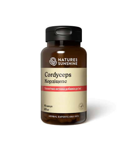 Кордіцепс (Cordyceps)