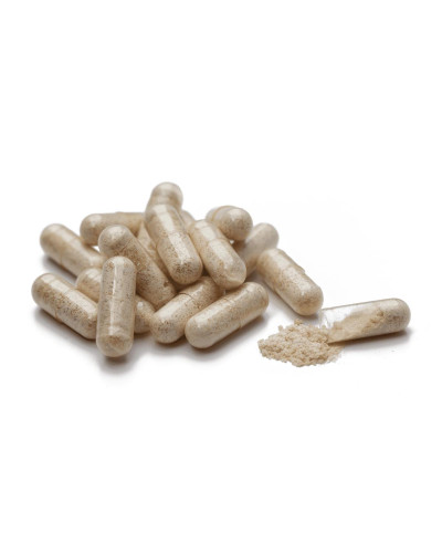 Харчові Ензими (Food Enzymes)