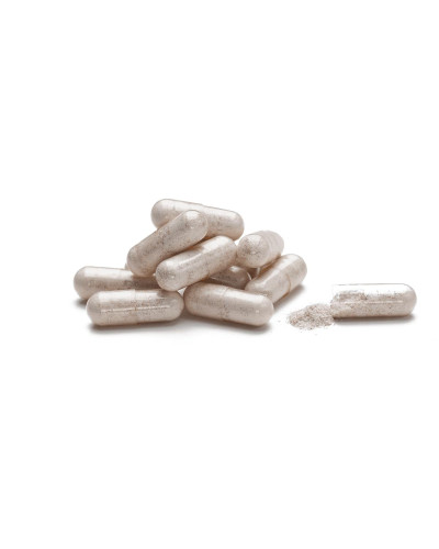 Глюкозамін (Glucosamine)