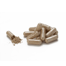 Молочний Чортополох (Milk Thistle)