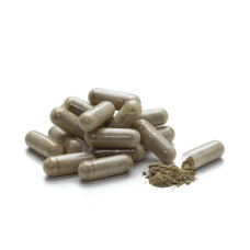 Екстракт листя оливи (Olive Leaf Extract)