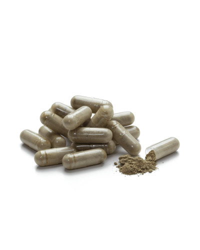 Екстракт листя оливи (Olive Leaf Extract)