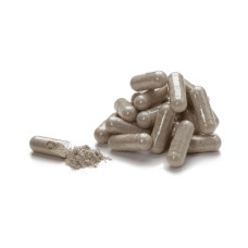 Протеаза Плюс (Protease Plus)