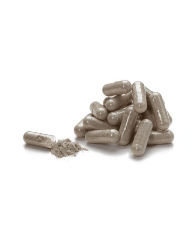 Протеаза Плюс (Protease Plus)
